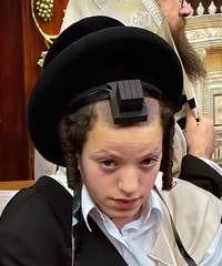 Hanukkah Festival