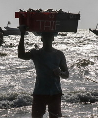Fishers of Senegal and Mauritania