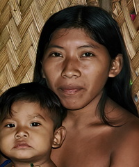 Panare people