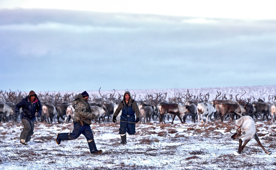 Chukchi people