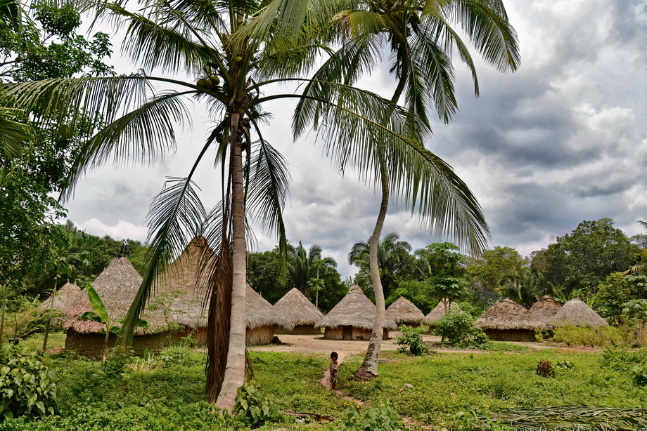 Kogi People