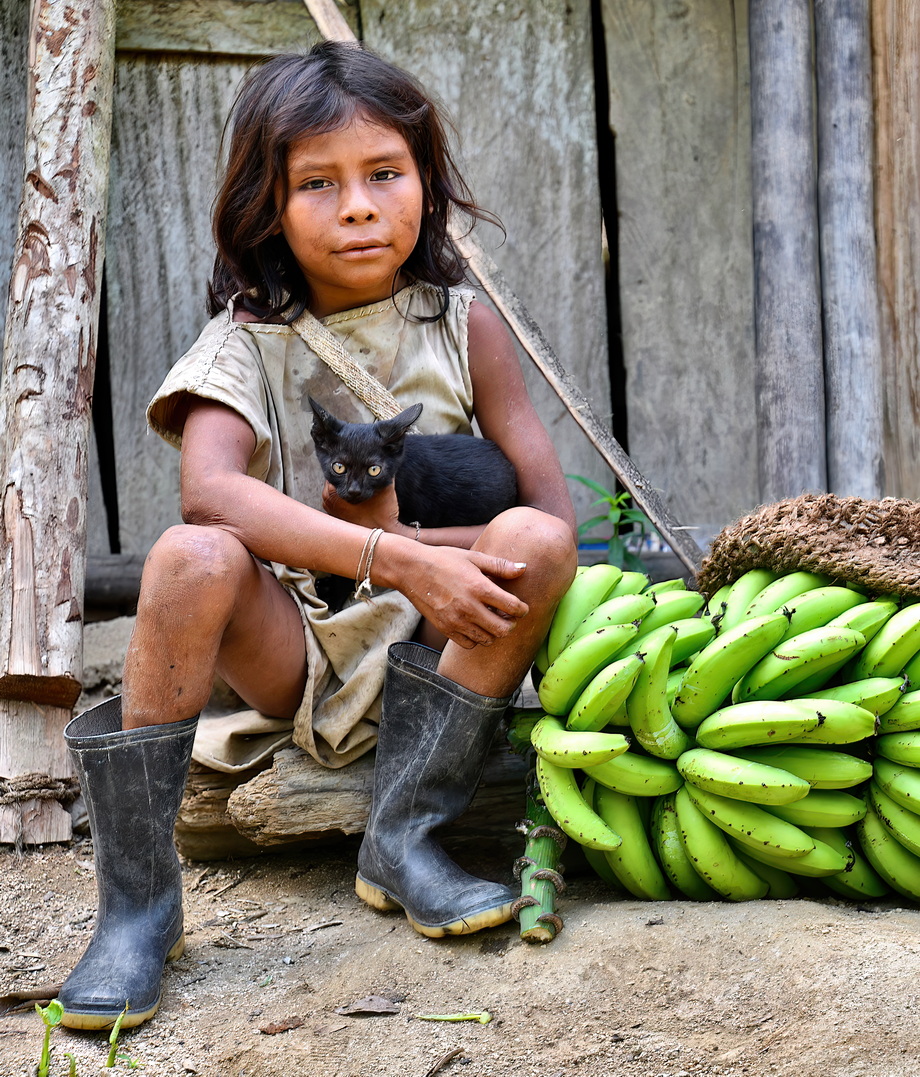 Kogi People