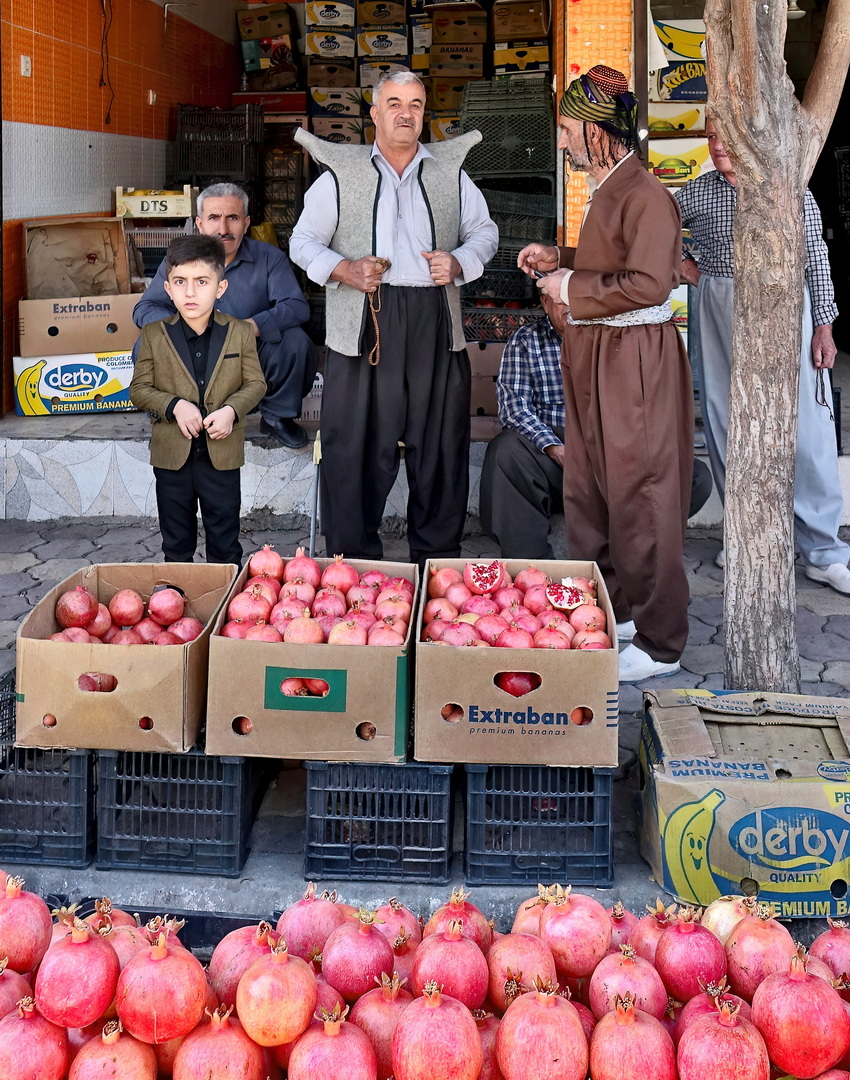 Kurdish People