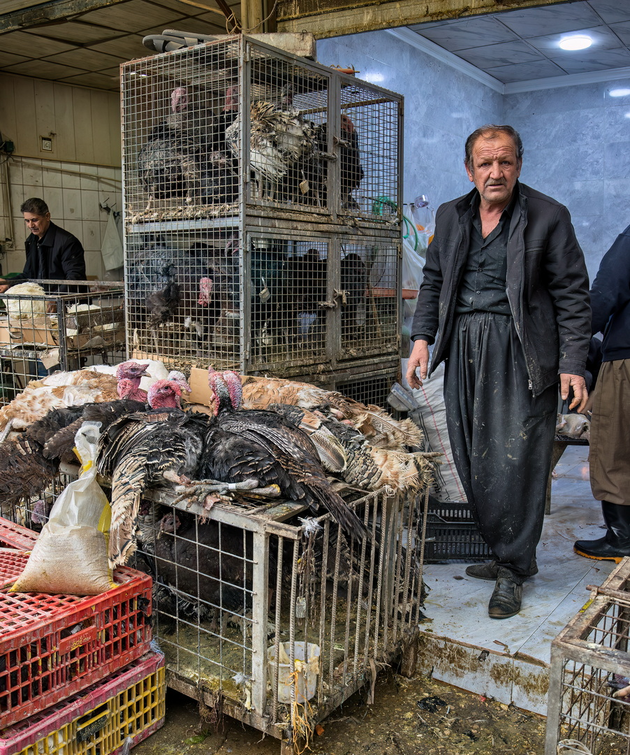 Kurdish People