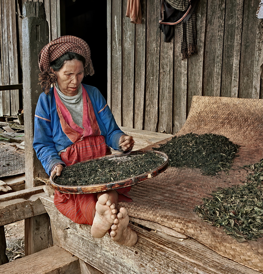 Palaung People