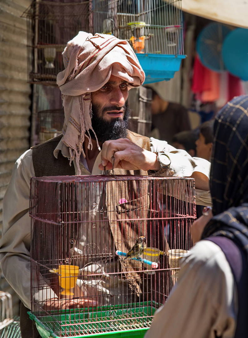 Pashtun People