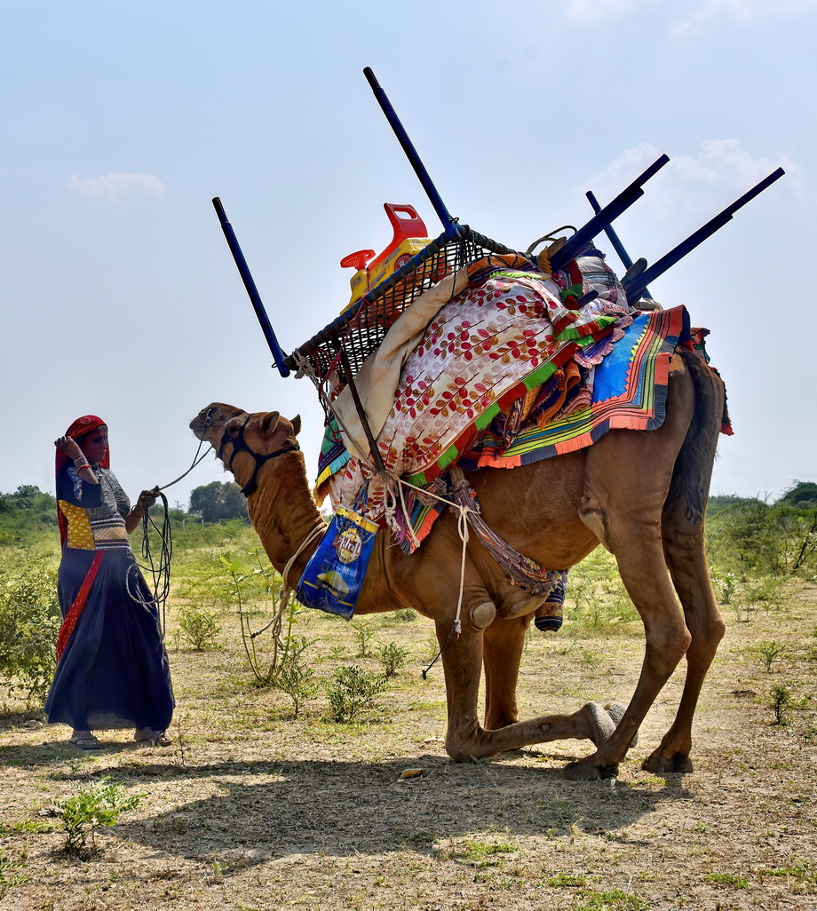 Rabari People
