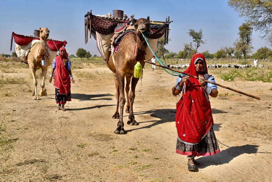 Rabari People