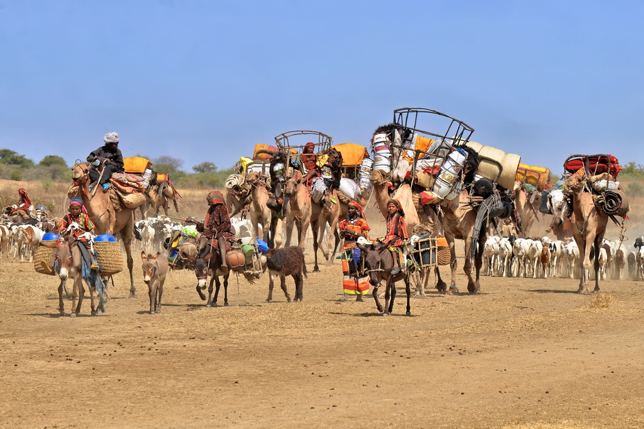 Nomadic Arabs Wedding