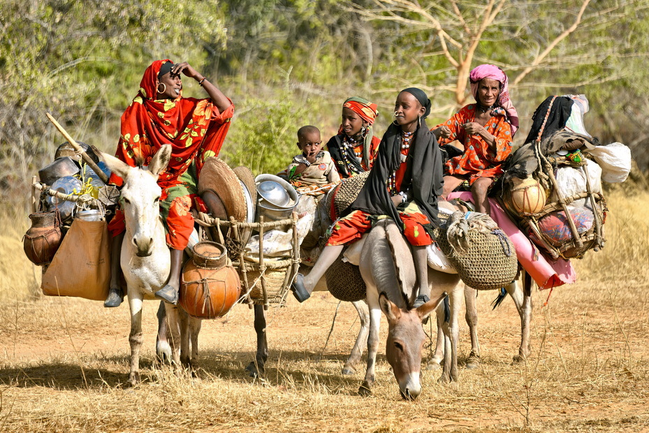 Nomadic Arabs Wedding