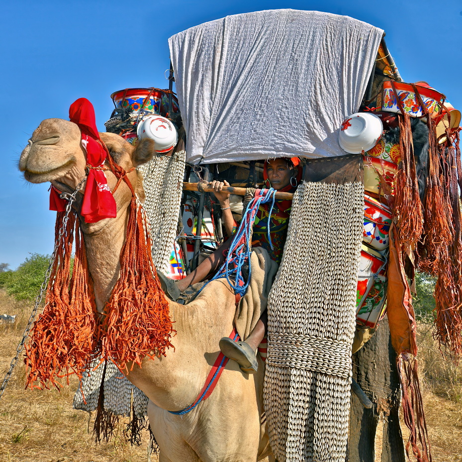 Nomadic Arabs Wedding