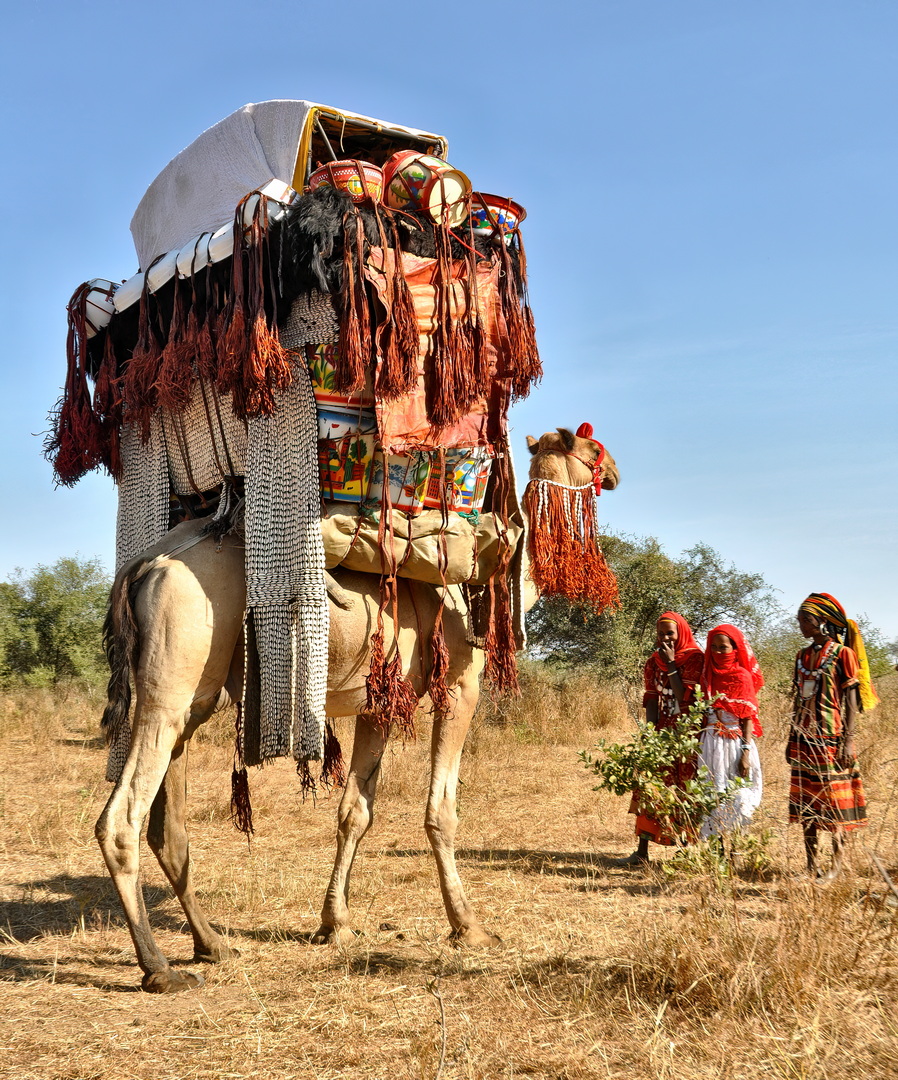 Nomadic Arabs Wedding