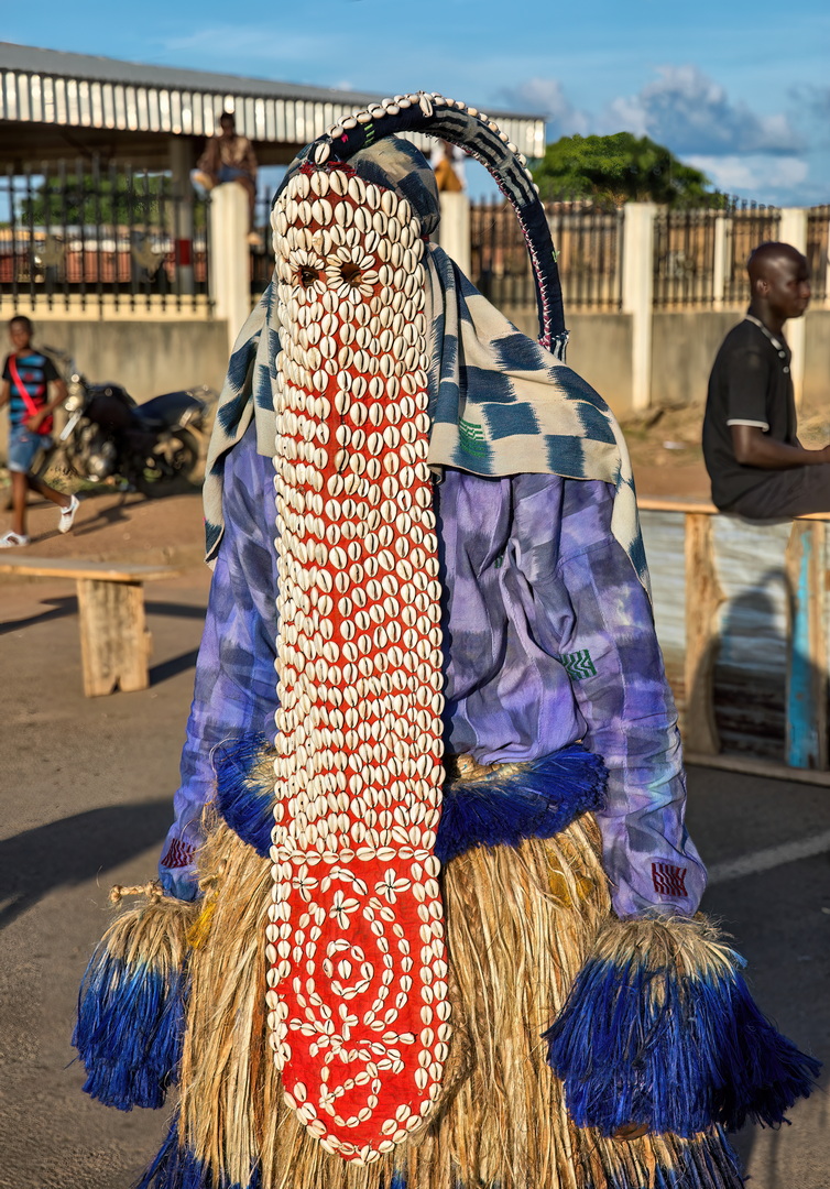 Senufo People