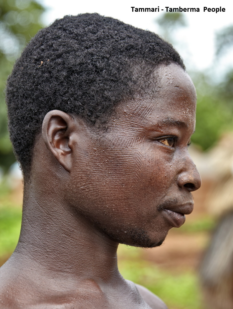 Tammari Scarifications