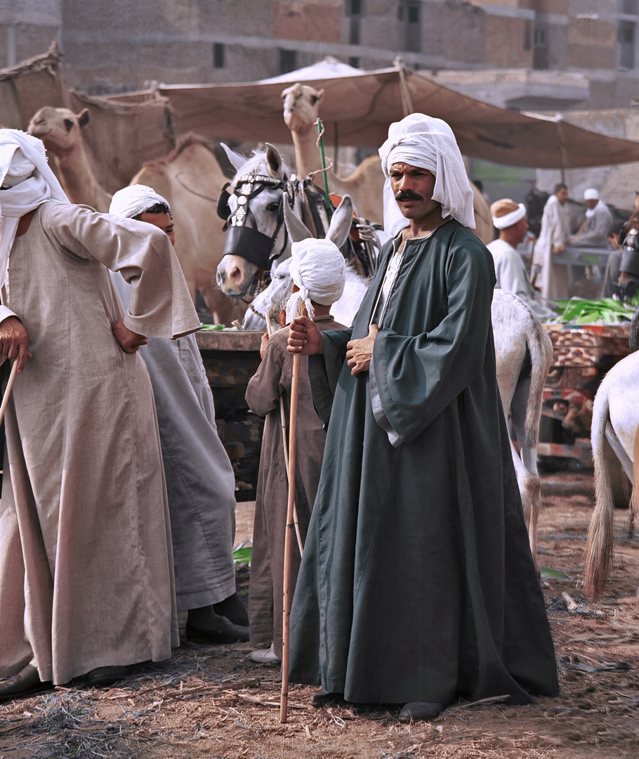 Birqash Camel Market