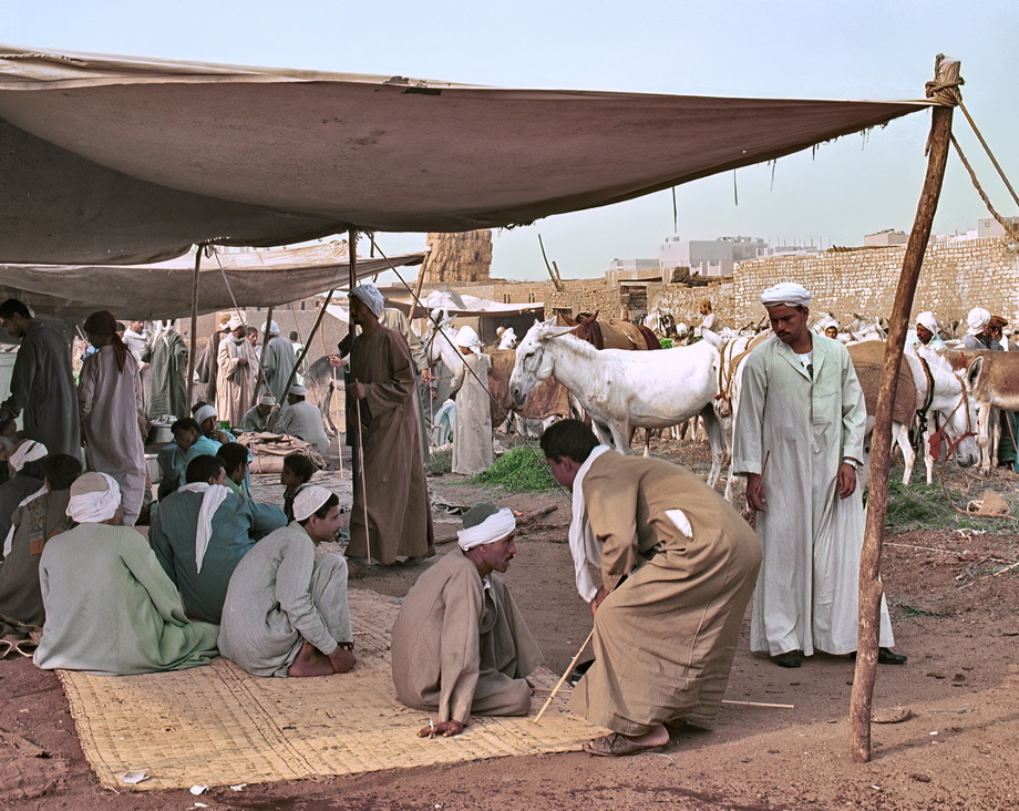 Birqash Camel Market