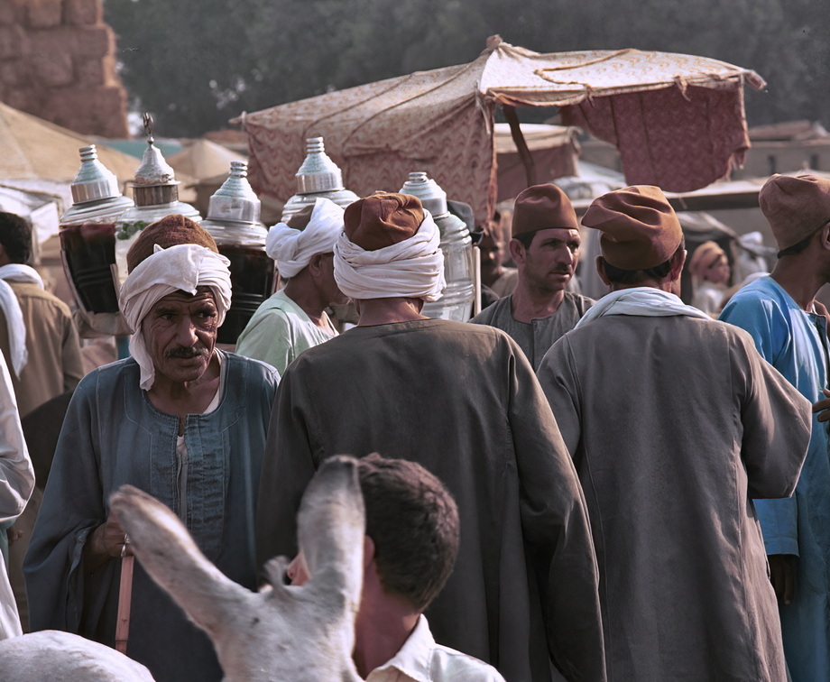 Birqash Camel Market