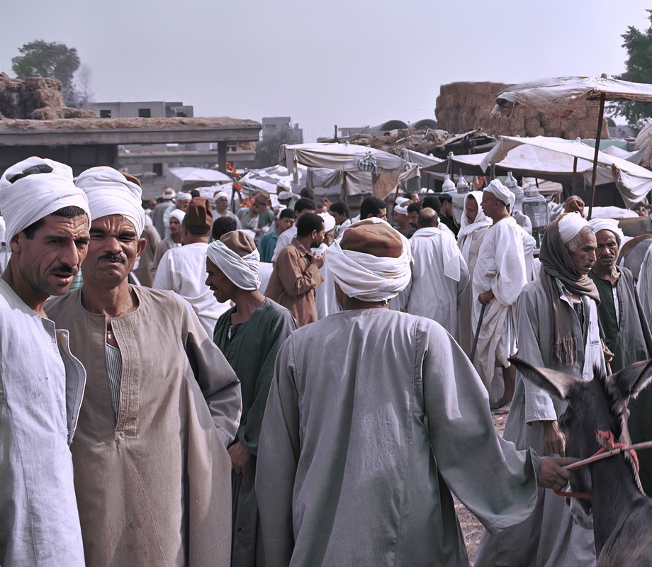 Birqash Camel Market