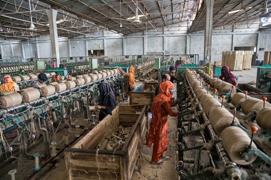 Jute harvesting and processing in Bangladesh