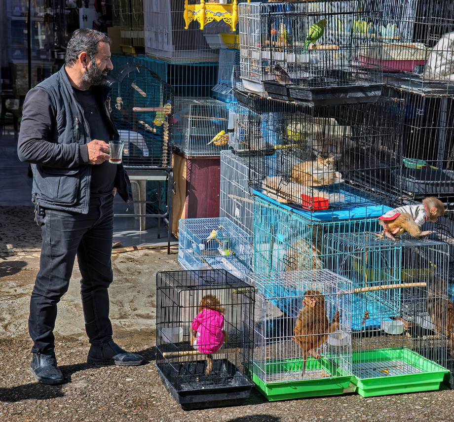 Markets od Iraqi Kurdistan