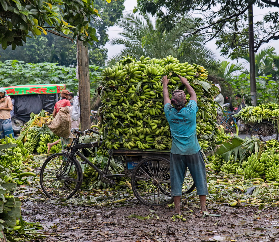 Rural Markets of Bangladesh