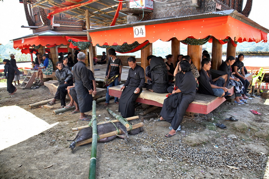 Toraja People