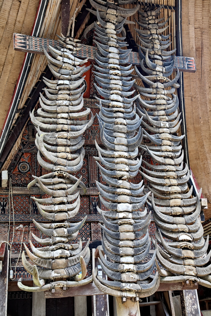 Toraja People
